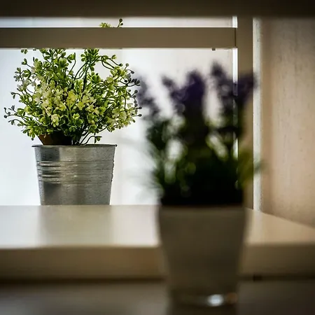 Semesterbostad Klara Duba Stonska